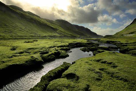 Scottish Landscape 1